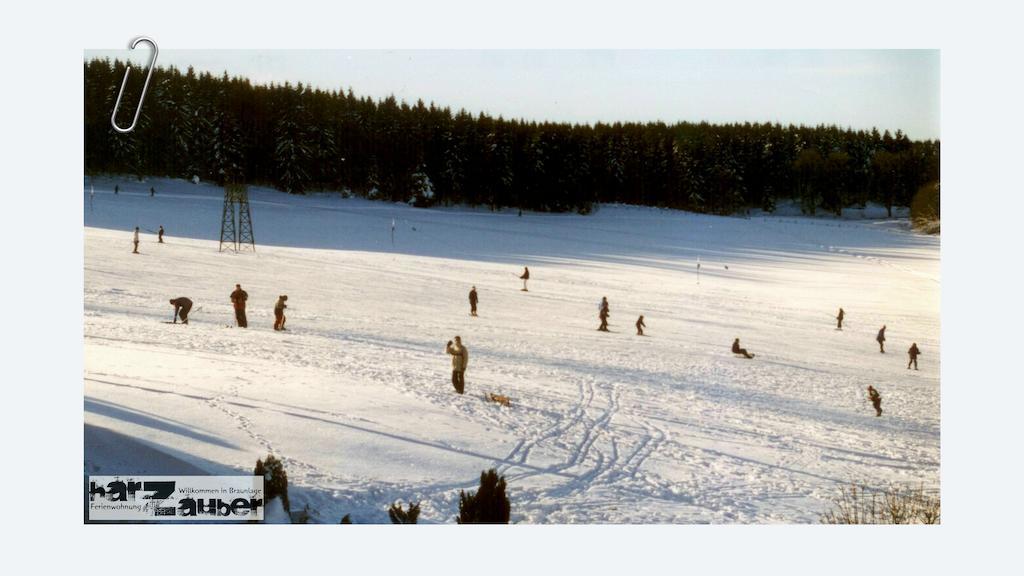 Harzauber Lejlighed Braunlage